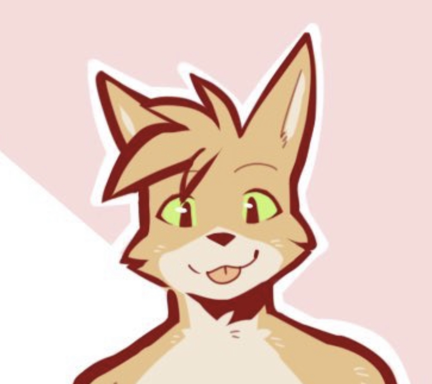 A really cute shiba inu named Oliver!