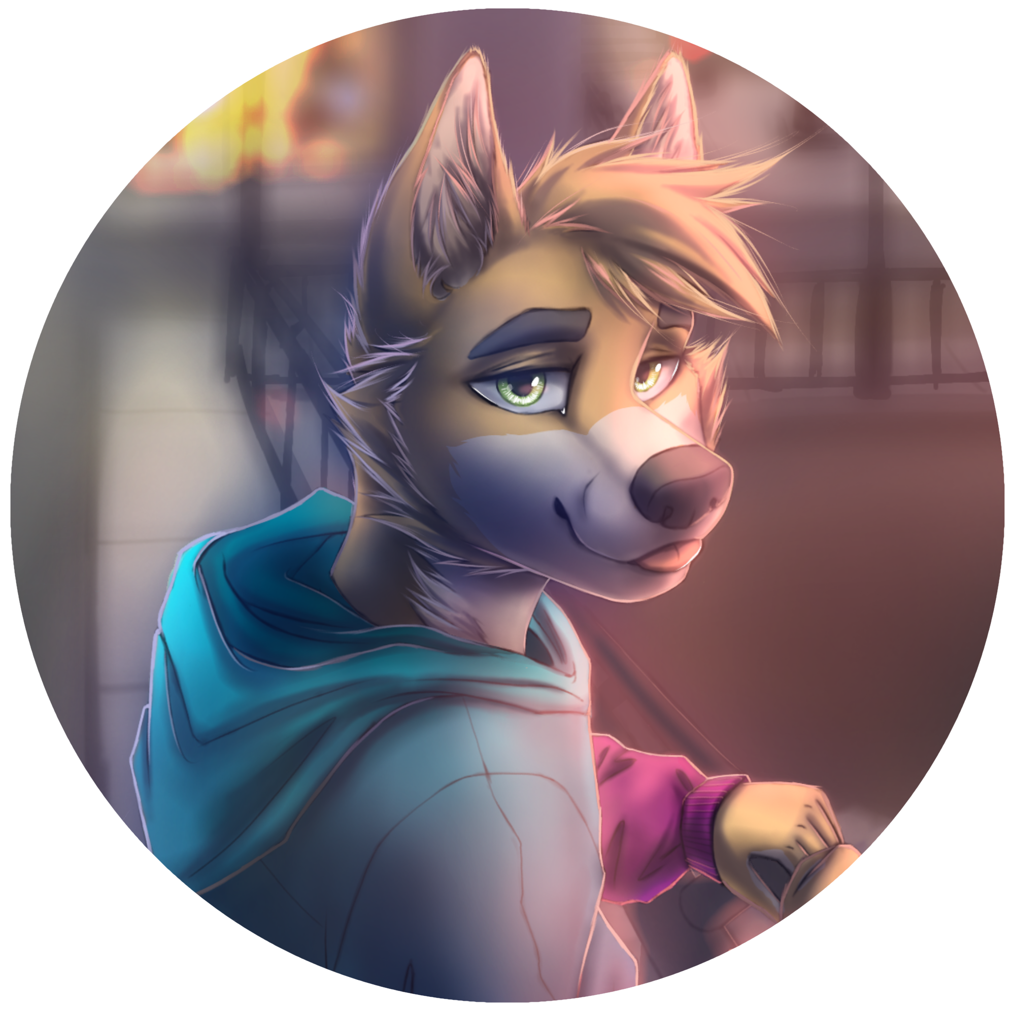 A very cute shiba inu named oliver!